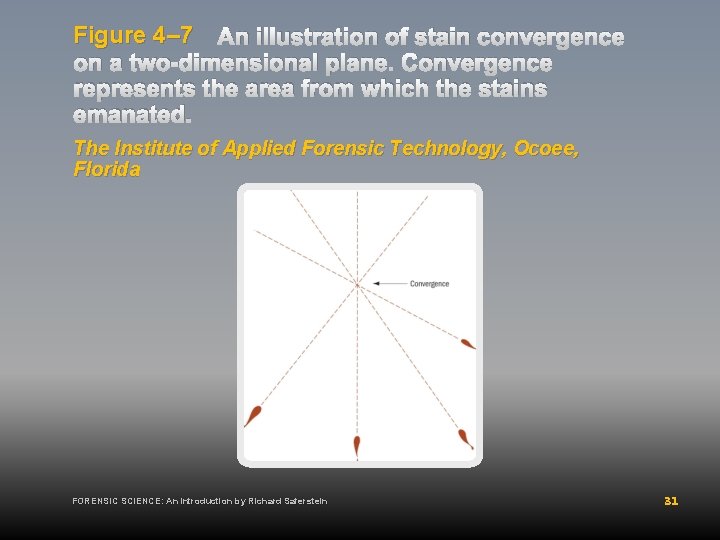 Figure 4– 7 An illustration of stain convergence on a two-dimensional plane. Convergence represents
