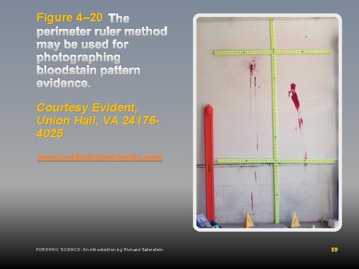 Figure 4– 20 The perimeter ruler method may be used for photographing bloodstain pattern