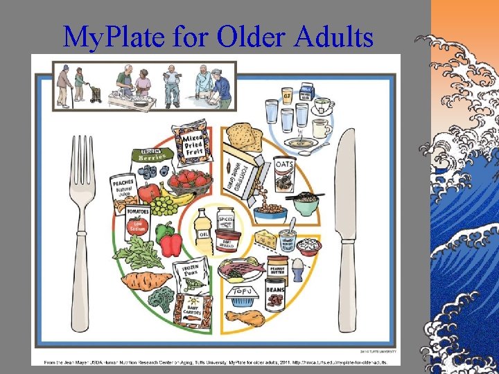My. Plate for Older Adults 