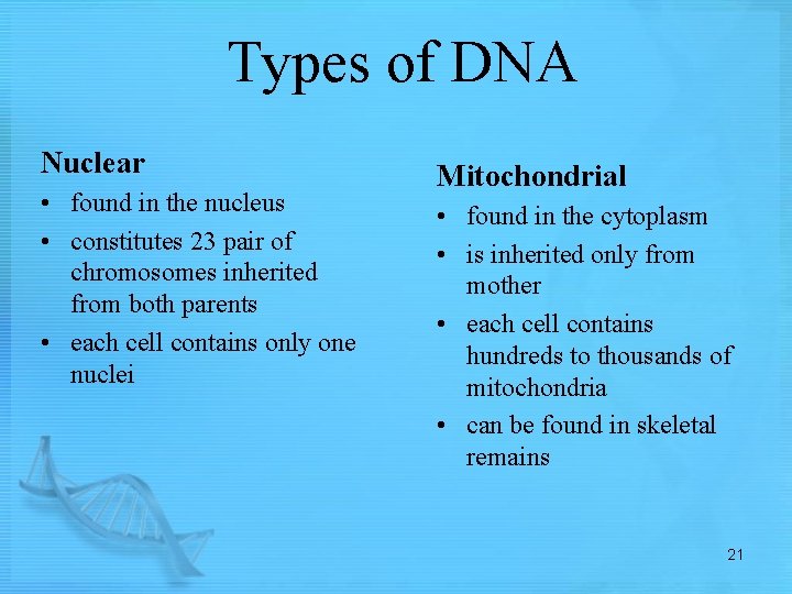 Types of DNA Nuclear • found in the nucleus • constitutes 23 pair of
