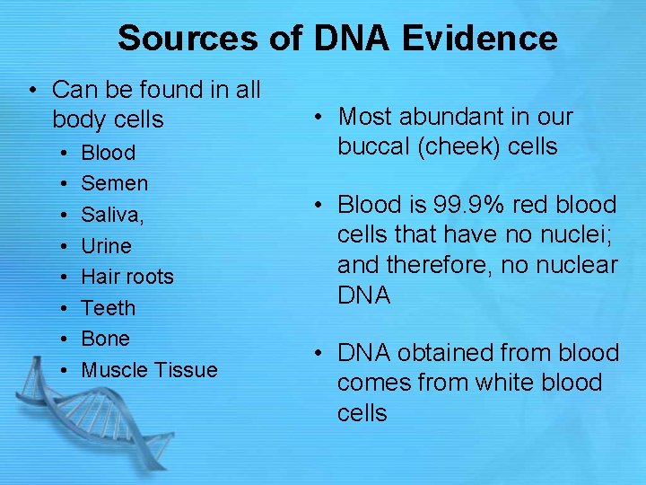 Sources of DNA Evidence • Can be found in all body cells • •