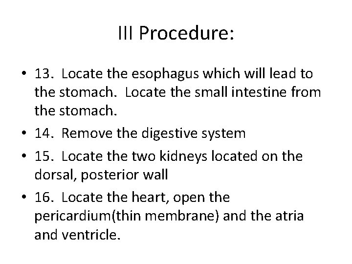 III Procedure: • 13. Locate the esophagus which will lead to the stomach. Locate