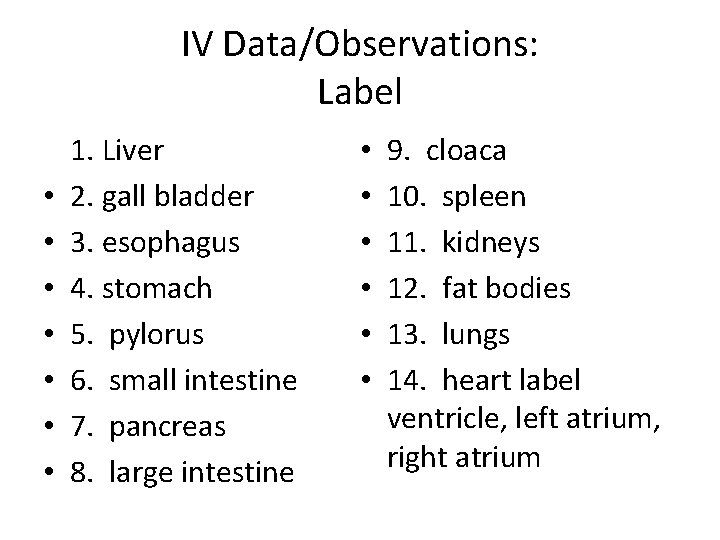 IV Data/Observations: Label • • 1. Liver 2. gall bladder 3. esophagus 4. stomach