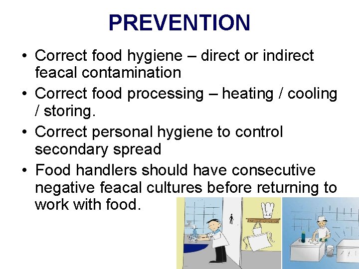 PREVENTION • Correct food hygiene – direct or indirect feacal contamination • Correct food