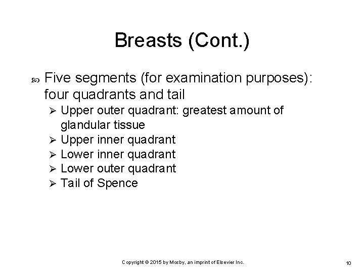 Breasts (Cont. ) Five segments (for examination purposes): four quadrants and tail Upper outer