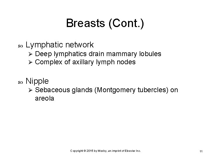 Breasts (Cont. ) Lymphatic network Ø Ø Deep lymphatics drain mammary lobules Complex of