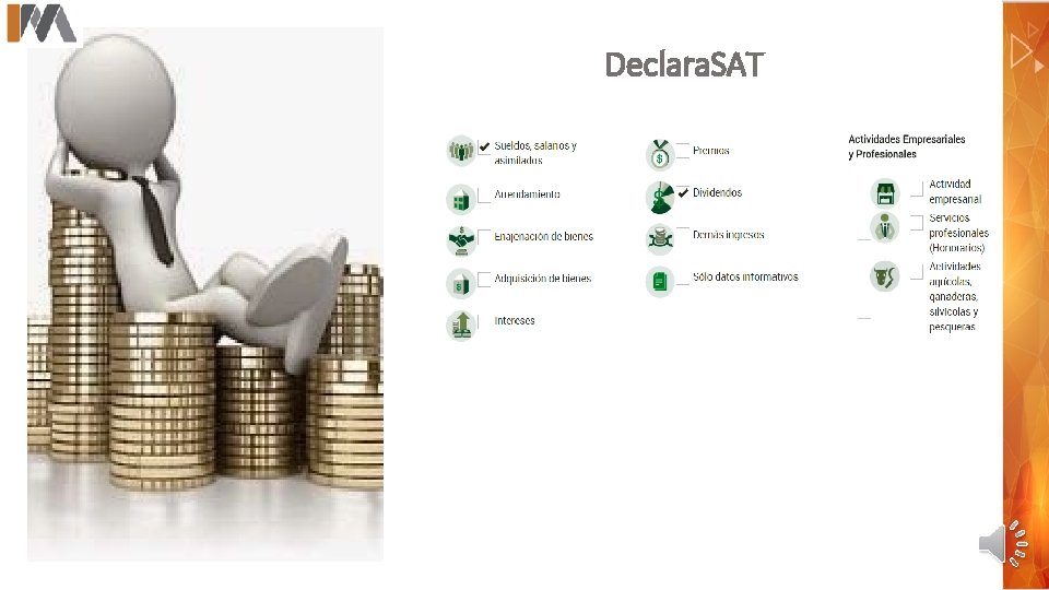 Declara. SAT Ingresos a declarar como Persona Física 