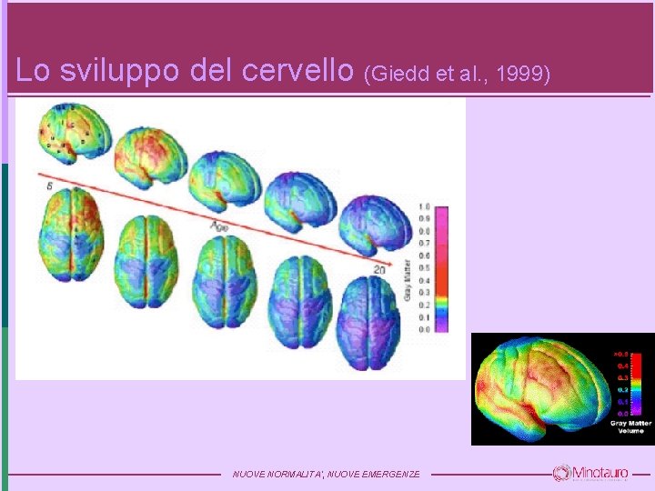 Lo sviluppo del cervello (Giedd et al. , 1999) NUOVE NORMALITA’, NUOVE EMERGENZE 