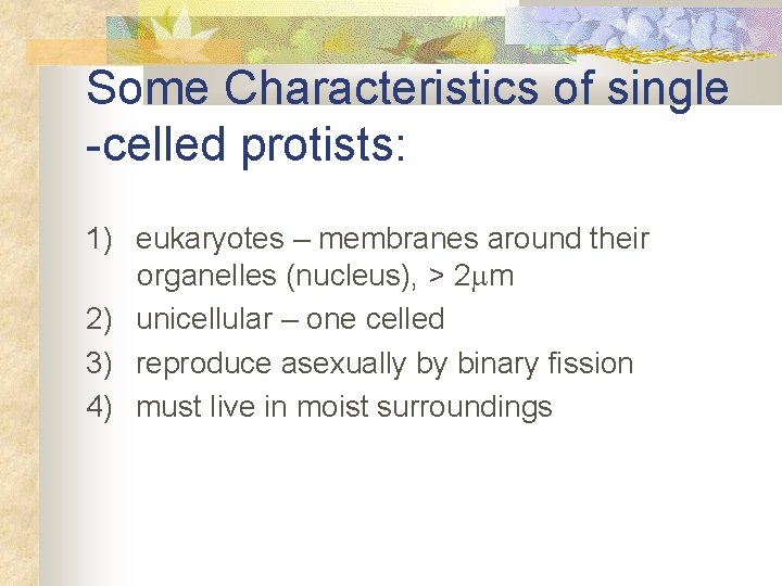Some Characteristics of single -celled protists: 1) eukaryotes – membranes around their organelles (nucleus),