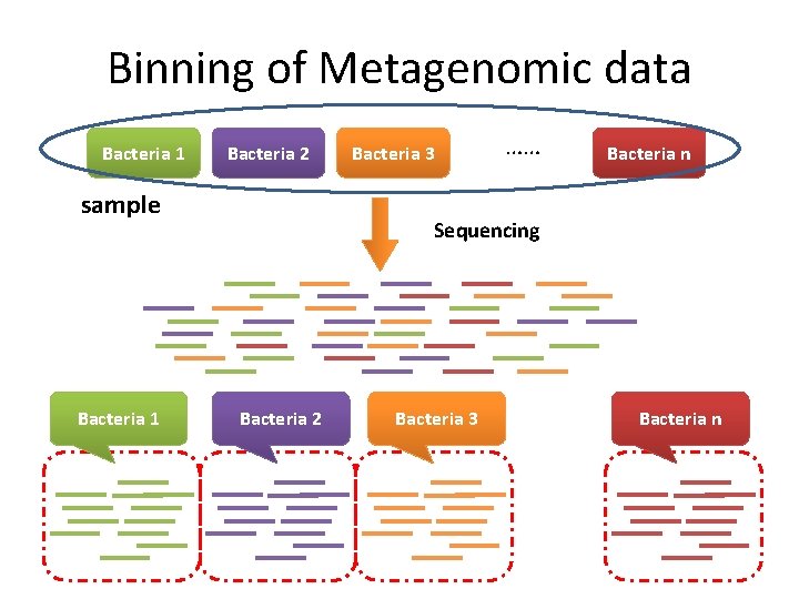 Binning of Metagenomic data Bacteria 1 Bacteria 2 sample Bacteria 1 Bacteria 3 ……