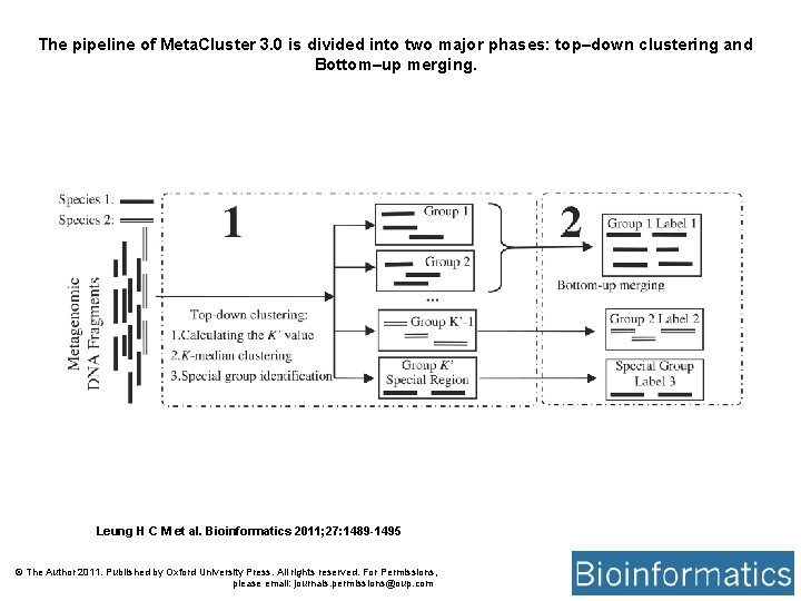 The pipeline of Meta. Cluster 3. 0 is divided into two major phases: top–down