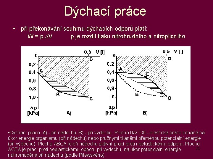 Dýchací práce • při překonávání souhrnu dýchacích odporů platí: W = p. DV p