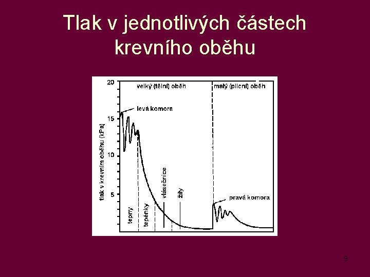 Tlak v jednotlivých částech krevního oběhu 9 