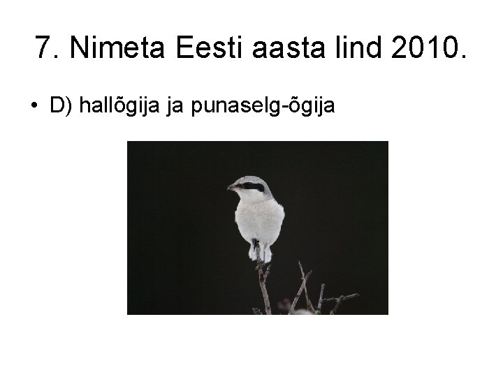 7. Nimeta Eesti aasta lind 2010. • D) hallõgija ja punaselg-õgija 