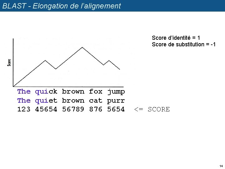 BLAST - Elongation de l’alignement Score d’identité = 1 Score de substitution = -1