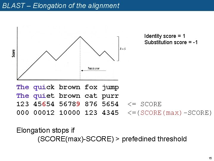 BLAST – Elongation of the alignment Identity score = 1 Substitution score = -1