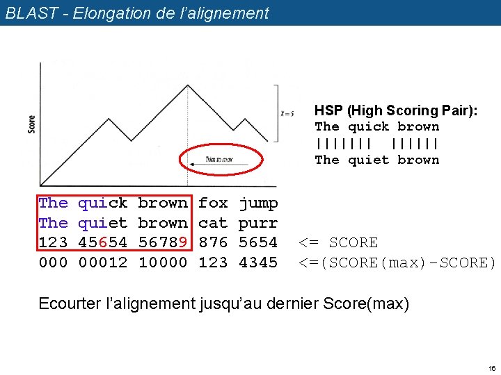 BLAST - Elongation de l’alignement HSP (High Scoring Pair): The quick brown ||||||| The