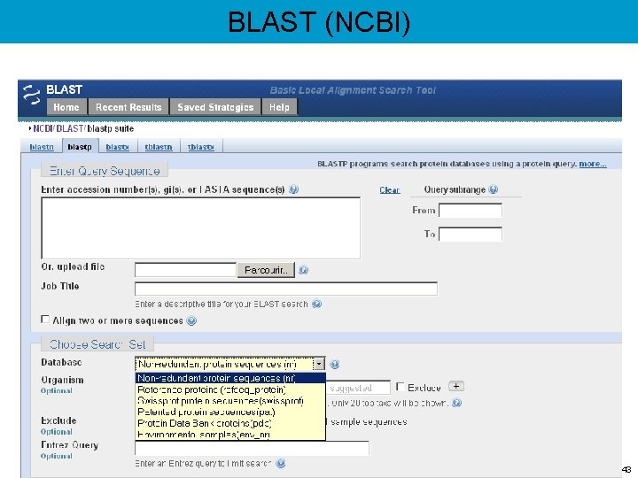 BLAST (NCBI) 43 