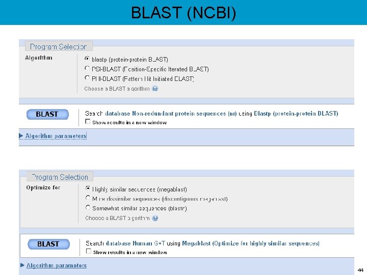 BLAST (NCBI) 44 