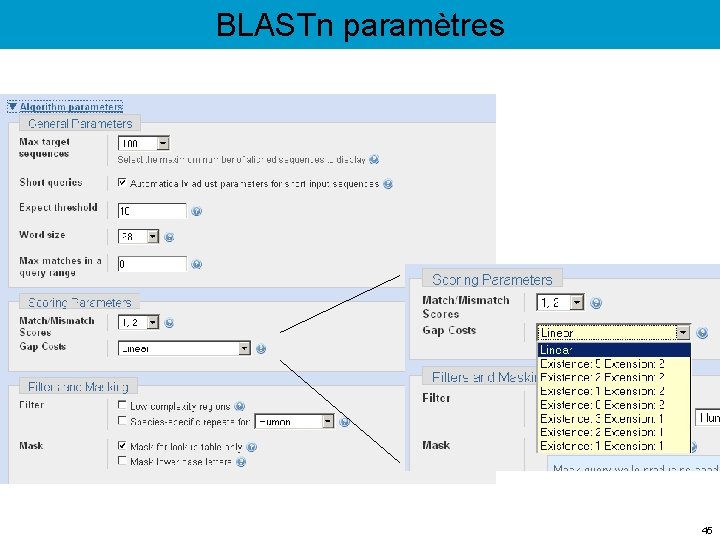 BLASTn paramètres 45 