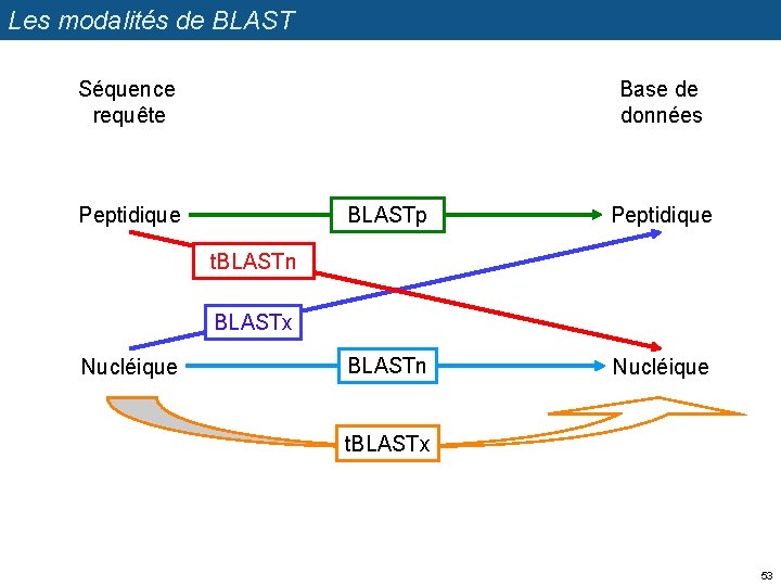 Les modalités de BLAST Séquence requête Base de données Peptidique BLASTp Peptidique BLASTn Nucléique