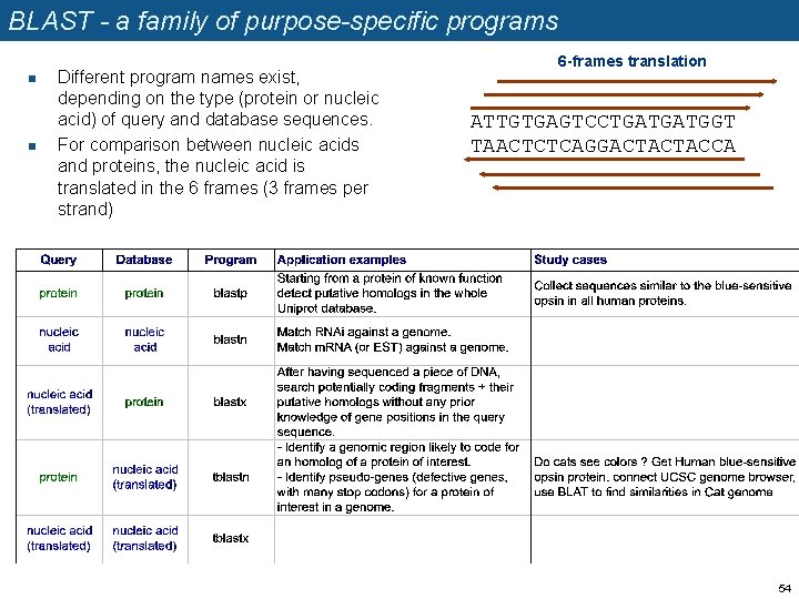 BLAST - a family of purpose-specific programs n n Different program names exist, depending