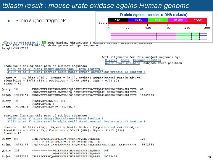 tblastn result : mouse urate oxidase agains Human genome Protein against translated DNA (tblastn)