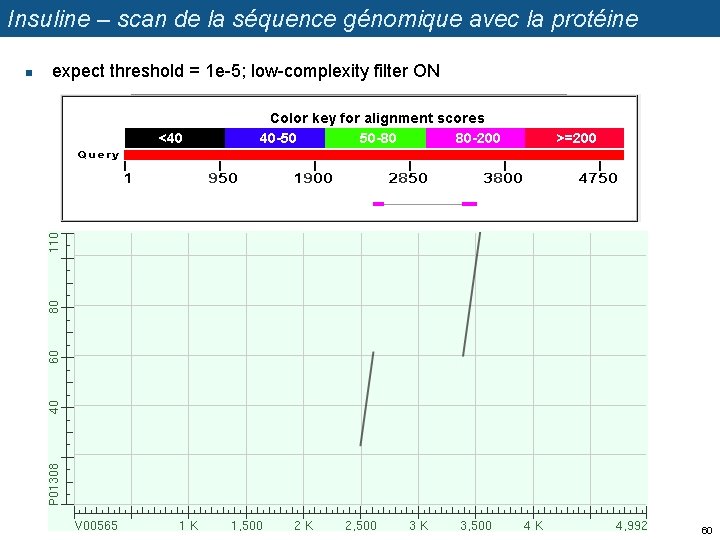 Insuline – scan de la séquence génomique avec la protéine n expect threshold =