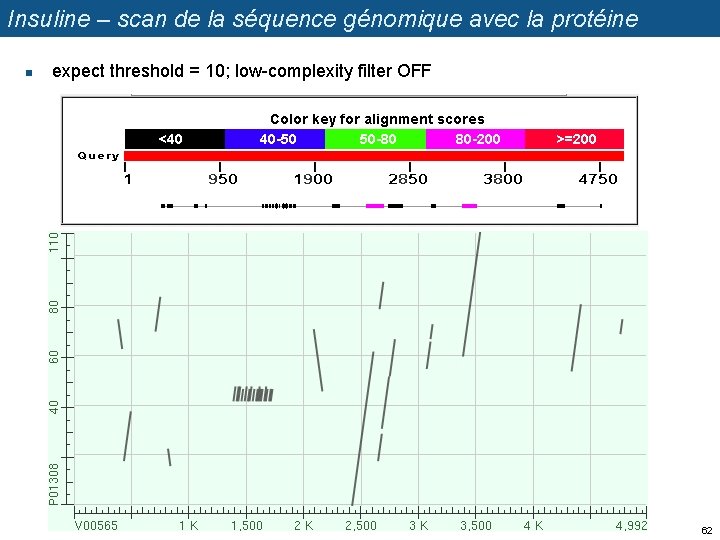 Insuline – scan de la séquence génomique avec la protéine n expect threshold =