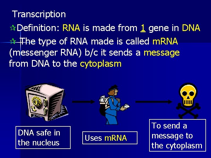 Transcription ¶Definition: RNA is made from 1 gene in DNA ¶ The type of