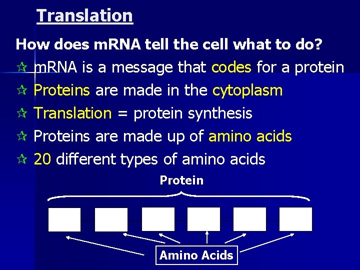 Translation How does m. RNA tell the cell what to do? ¶ m. RNA