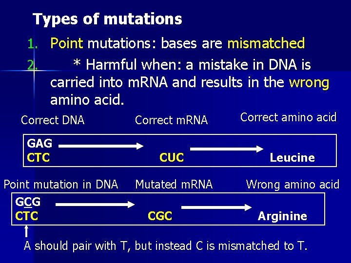 Types of mutations 1. Point mutations: bases are mismatched 2. * Harmful when: a