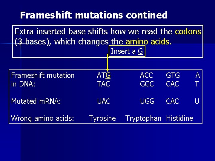 Frameshift mutations contined Extra inserted base shifts how we read the codons (3 bases),