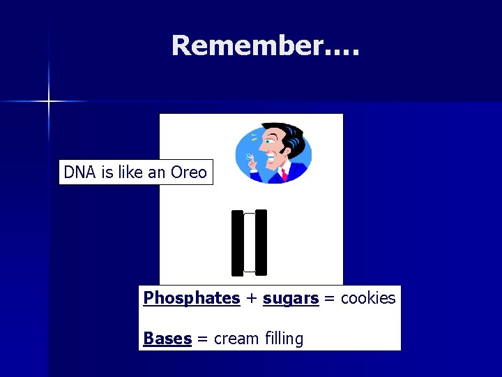 Remember…. Remember DNA is like an Oreo Phosphates + sugars = cookies Bases =