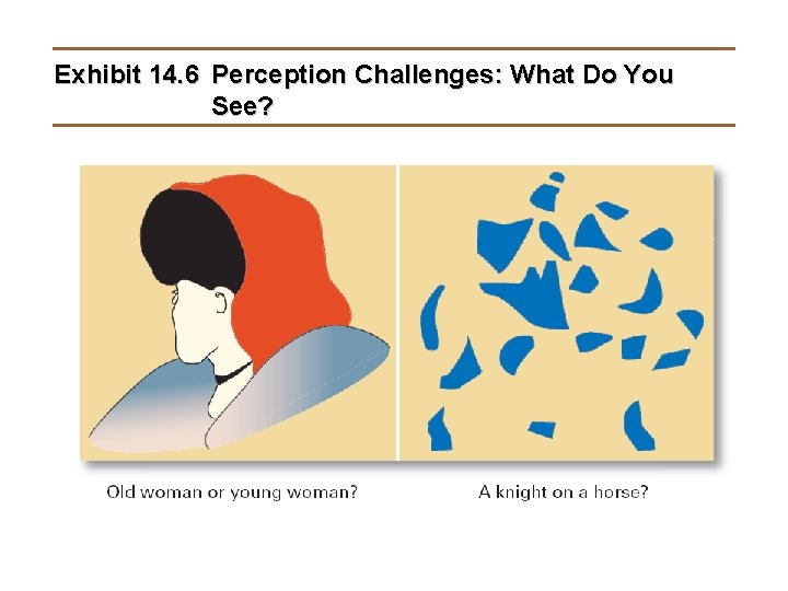 Exhibit 14. 6 Perception Challenges: What Do You See? 