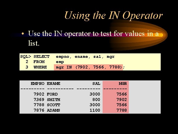 Using the IN Operator • Use the IN operator to test for values in