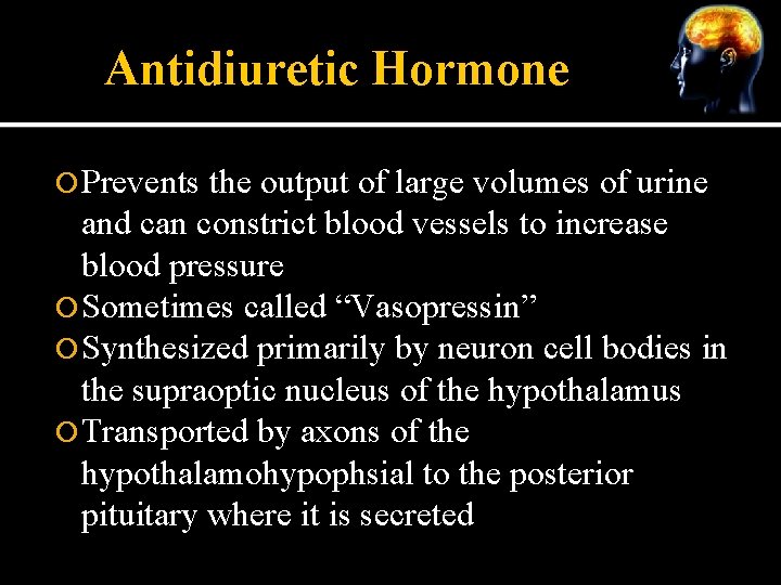 Antidiuretic Hormone Prevents the output of large volumes of urine and can constrict blood