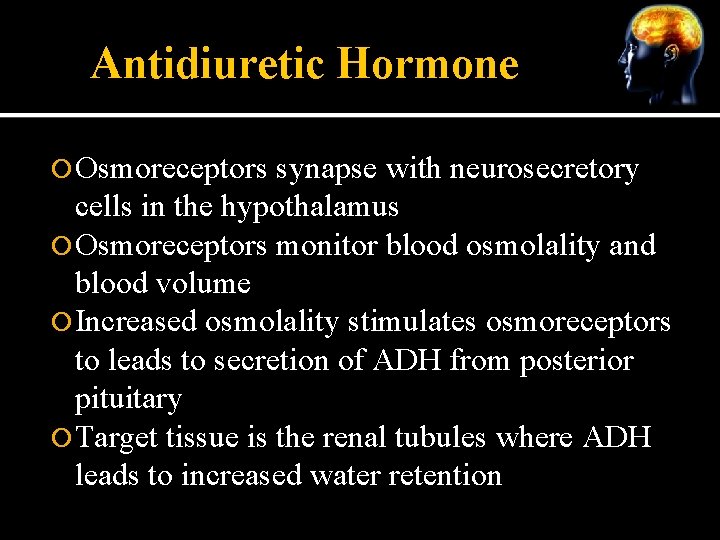 Antidiuretic Hormone Osmoreceptors synapse with neurosecretory cells in the hypothalamus Osmoreceptors monitor blood osmolality