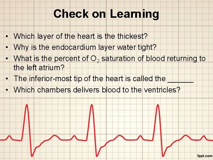 Check on Learning • Which layer of the heart is the thickest? • Why