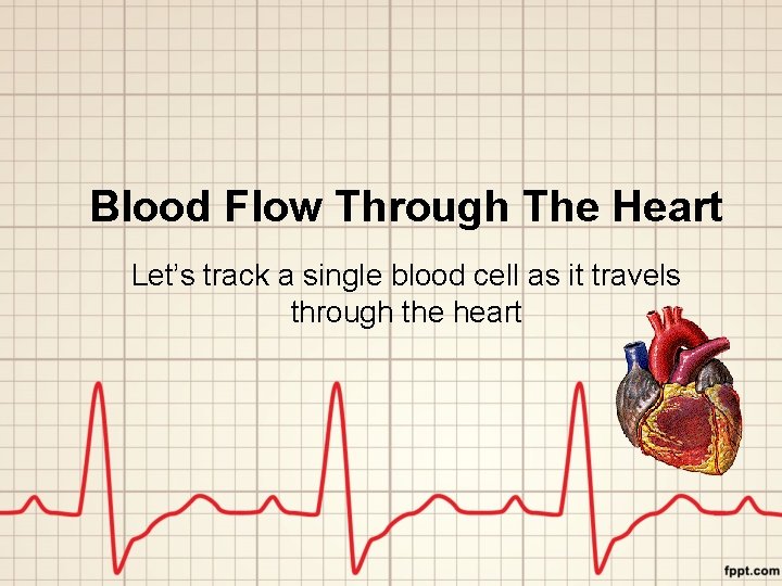 Blood Flow Through The Heart Let’s track a single blood cell as it travels