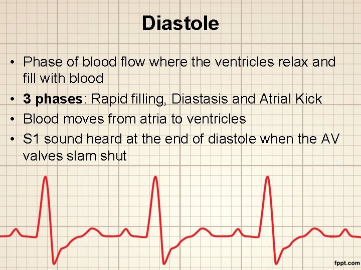 Diastole • Phase of blood flow where the ventricles relax and fill with blood