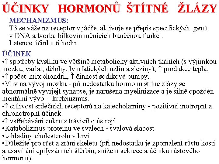 ÚČINKY HORMONŮ ŠTÍTNÉ ŽLÁZY MECHANIZMUS: T 3 se váže na receptor v jádře, aktivuje