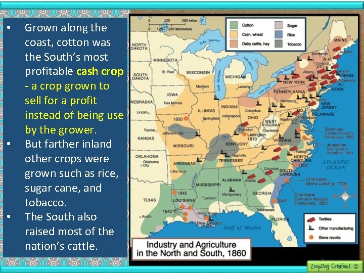  • • • Grown along the coast, cotton was the South’s most profitable