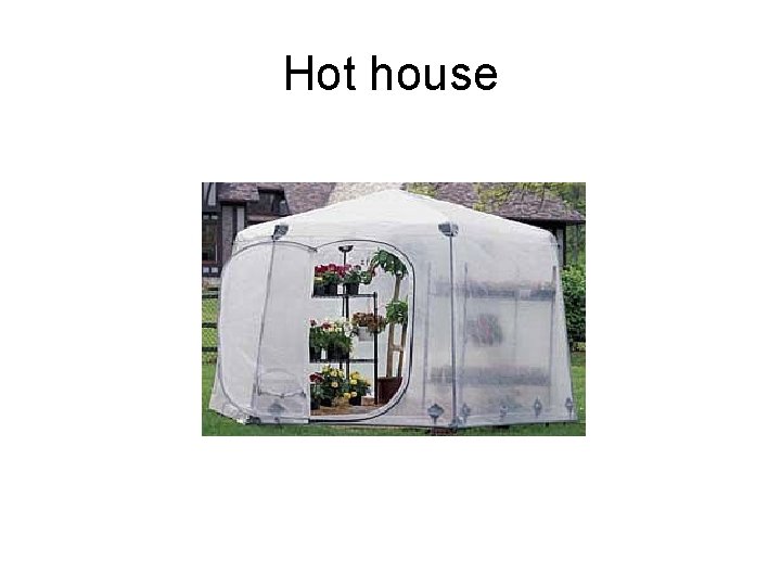 Hot house 