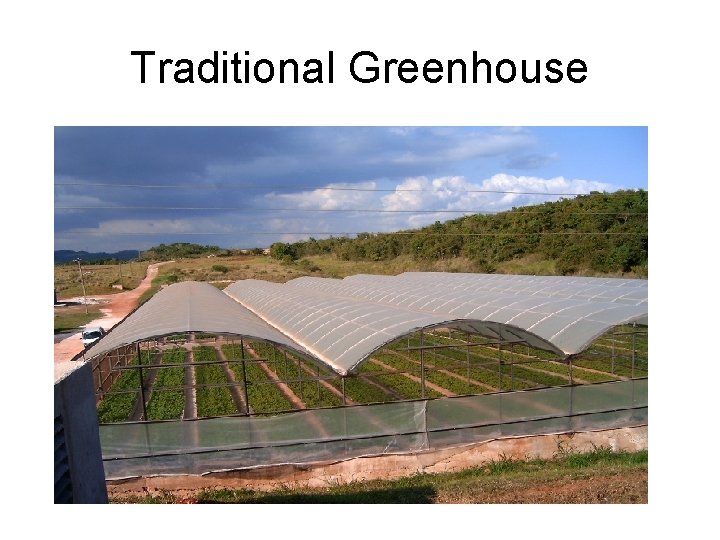 Traditional Greenhouse 