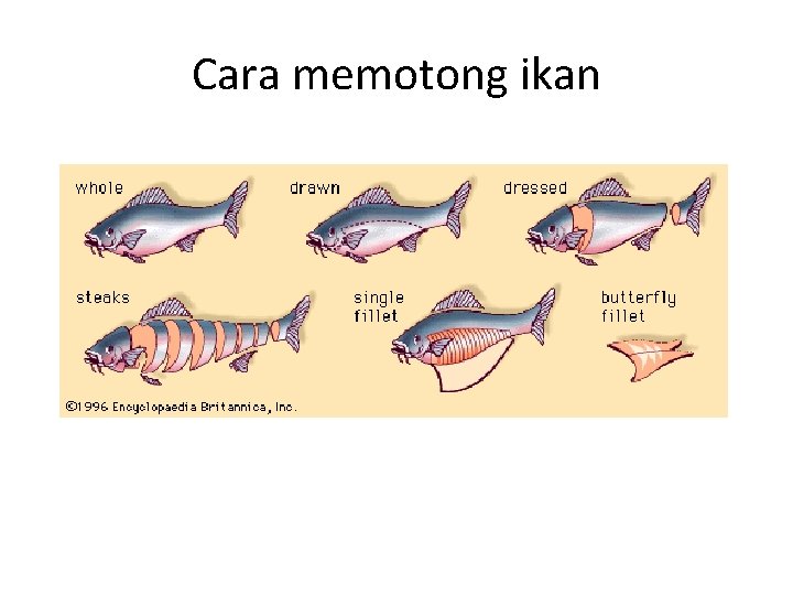 Cara memotong ikan 