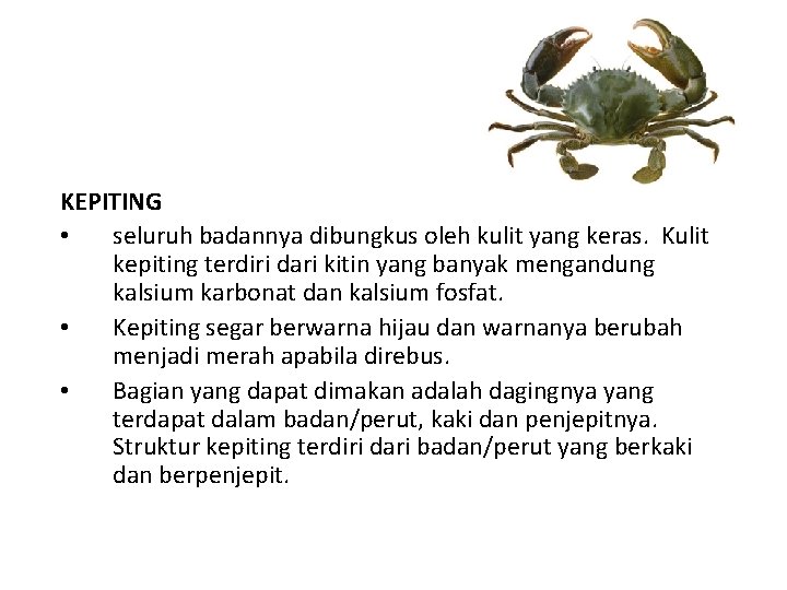 KEPITING • seluruh badannya dibungkus oleh kulit yang keras. Kulit kepiting terdiri dari kitin