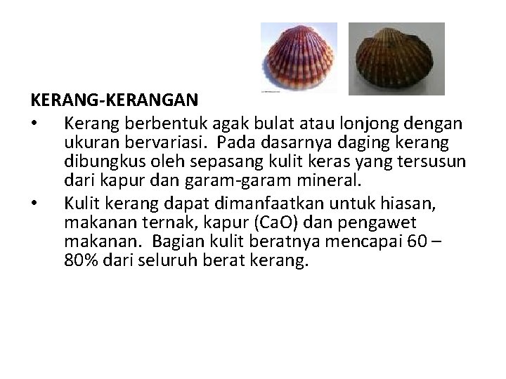 KERANG-KERANGAN • Kerang berbentuk agak bulat atau lonjong dengan ukuran bervariasi. Pada dasarnya daging