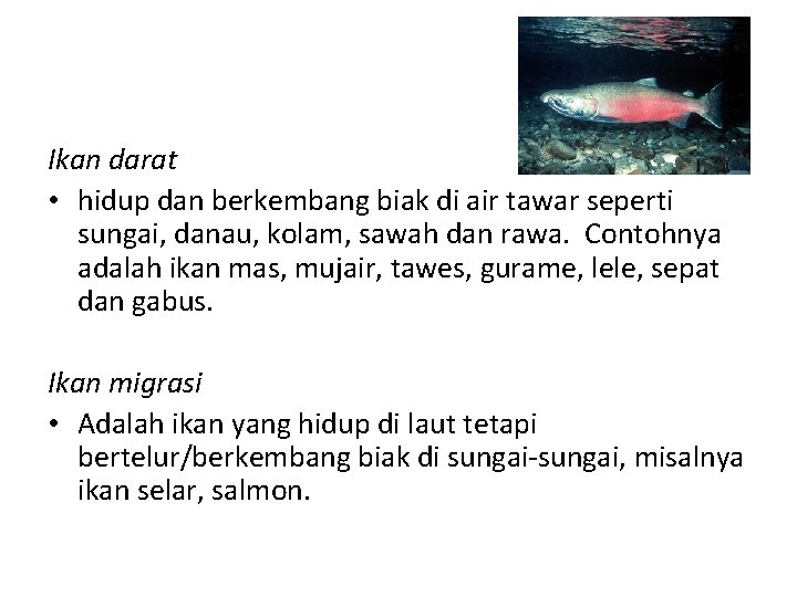 Ikan darat • hidup dan berkembang biak di air tawar seperti sungai, danau, kolam,