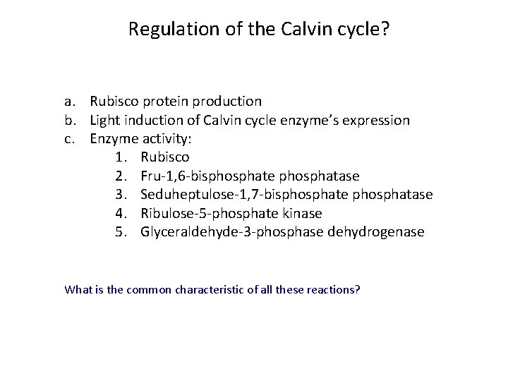 Regulation of the Calvin cycle? a. Rubisco protein production b. Light induction of Calvin